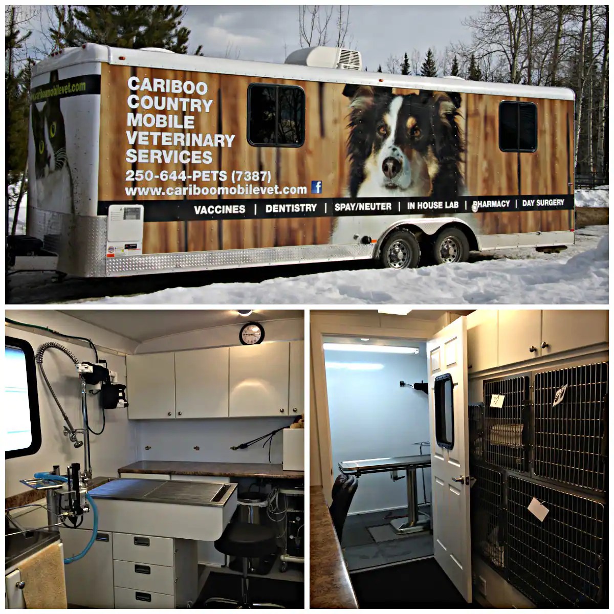 Cariboo Veterinary Clinic on Wheels CBC Kamloops